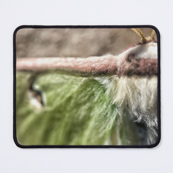 Item preview, Up Close And Furry designed and sold by Jason Tompkins.