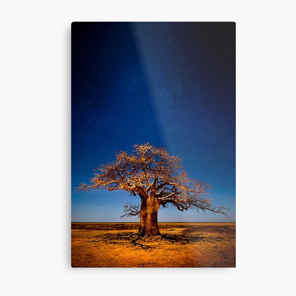 Full Moon Fantasy Metal Print