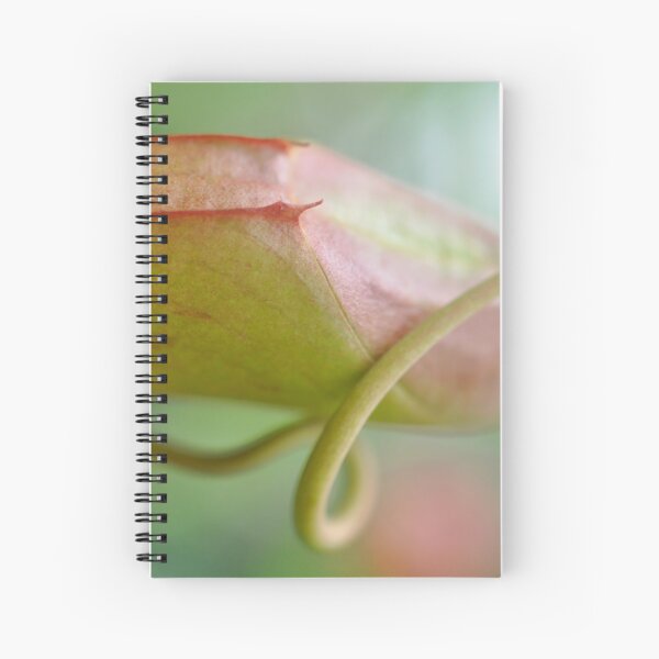 Subtle Carnivore in Pink and Green - Nepenthes - Botanical Photography - Original Abstract Fine Art Spiral Notebook