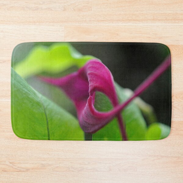 Item preview, Bold Arcs in Magenta and Green - Botanical Photography - Original Abstract Fine Art designed and sold by SageFolio.