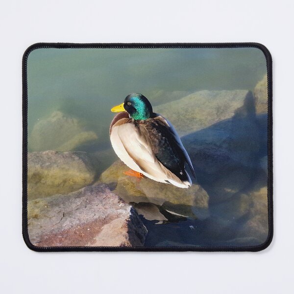 Item preview, To Swim or Not to Swim... Ducky Question designed and sold by Gaboro.