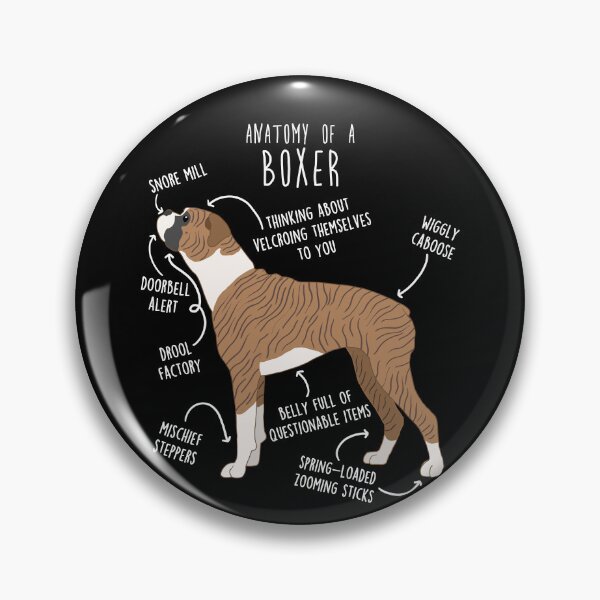 Item preview, Boxer Dog Brindle Anatomy designed and sold by Clara Hollins.