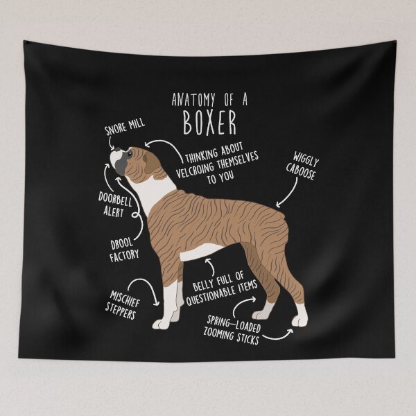 Item preview, Boxer Dog Brindle Anatomy designed and sold by Clara Hollins.