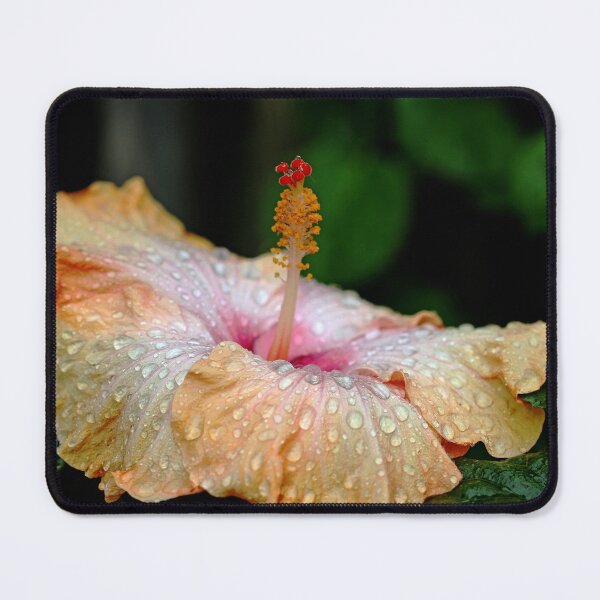 Item preview, Exotic Hibiscus designed and sold by Debbie Oppermann.