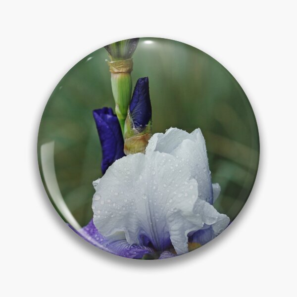 Item preview, Iris Blues designed and sold by Debbie Oppermann.