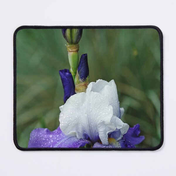 Item preview, Iris Blues designed and sold by Debbie Oppermann.
