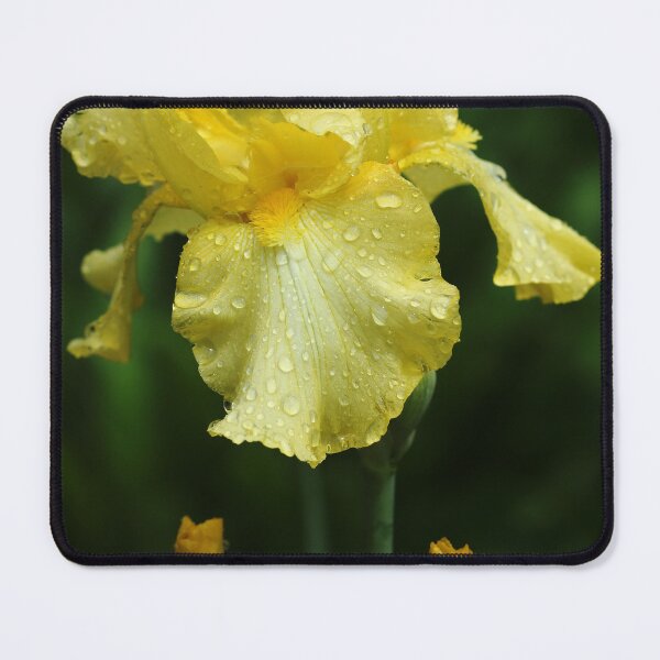 Item preview, Refreshing designed and sold by Debbie Oppermann.