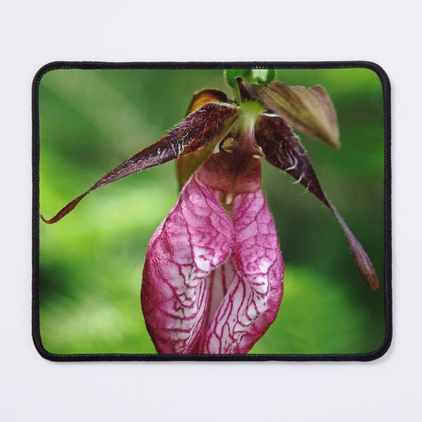 Item preview, Showy Lady Slipper designed and sold by Debbie Oppermann.