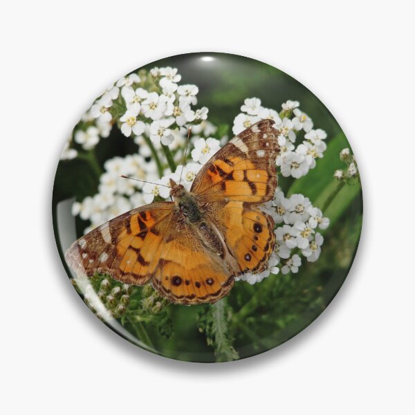 Item preview, The American Painted Lady designed and sold by Debbie Oppermann.
