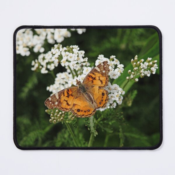Item preview, The American Painted Lady designed and sold by Debbie Oppermann.