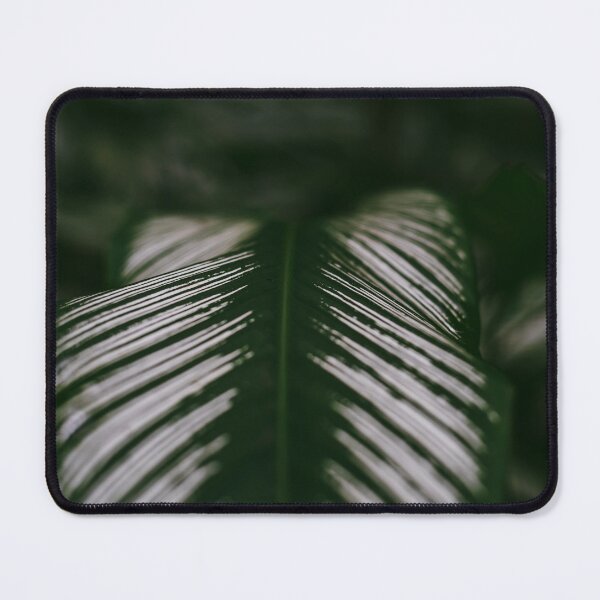 Item preview, CALATHEA designed and sold by Candice O'Neill.