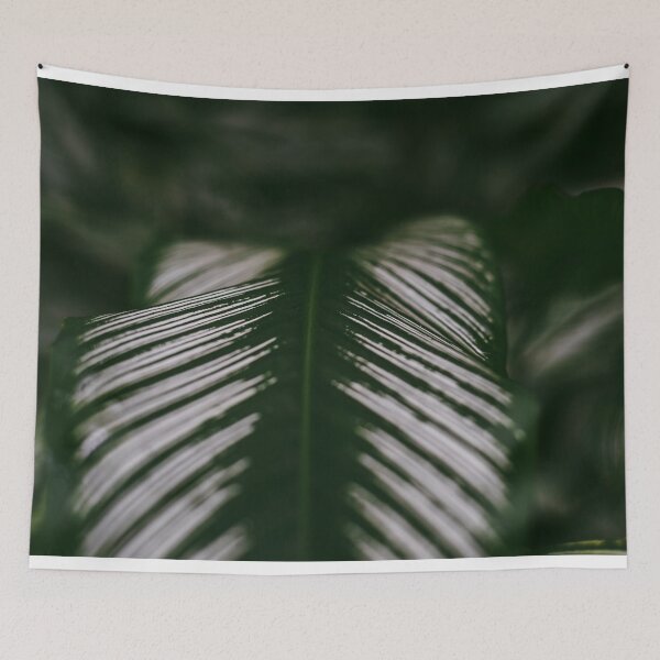 Item preview, CALATHEA designed and sold by Candice O'Neill.