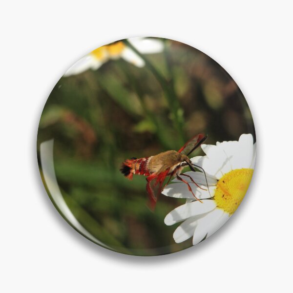 Item preview, The Moth And The Daisy designed and sold by Debbie Oppermann.