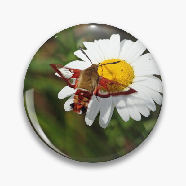 Item preview, Sipping Nectar designed and sold by Debbie Oppermann.