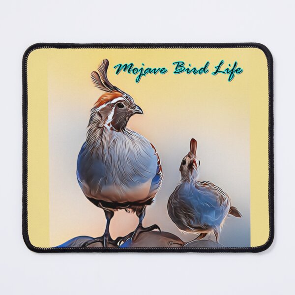 Item preview, Quail & Baby by Mojave Bird Life designed and sold by MojaveBirdLife.