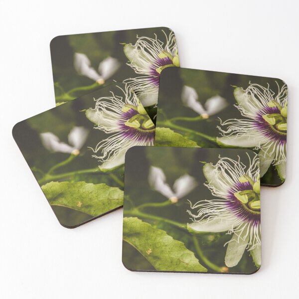 Item preview, PASSION FLOWER designed and sold by Candice O'Neill.