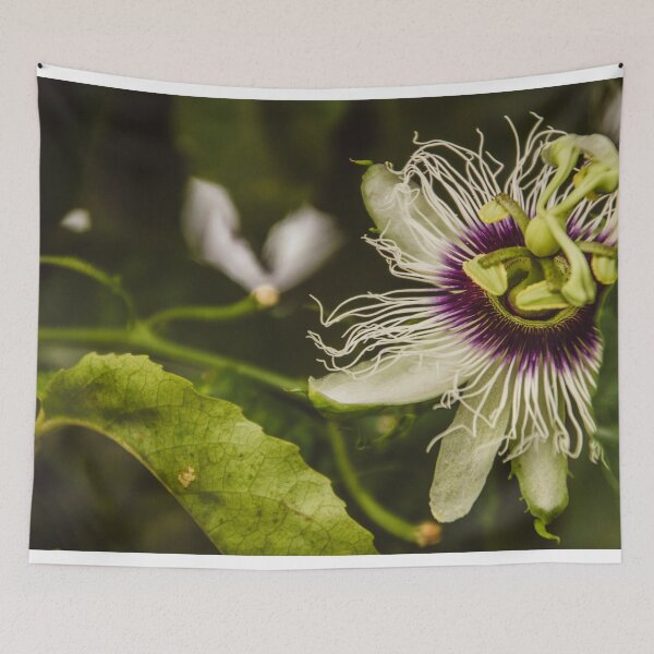 Item preview, PASSION FLOWER designed and sold by Candice O'Neill.
