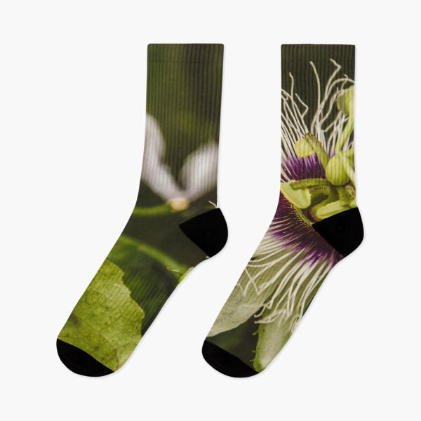 Item preview, PASSION FLOWER designed and sold by Candice O'Neill.