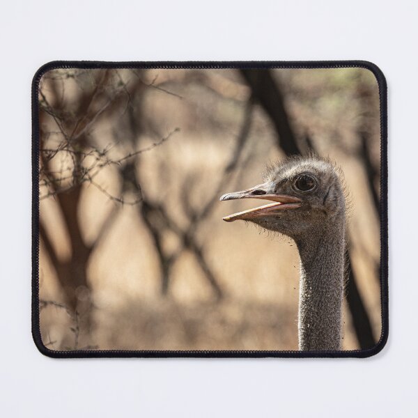 Item preview, Who Are You? designed and sold by Marylou Badeaux.