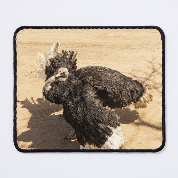 Item preview, Mating Dance designed and sold by Marylou Badeaux.