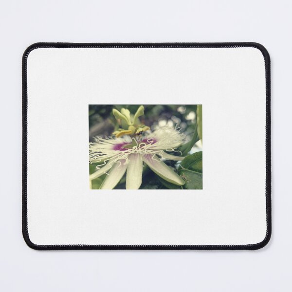 Item preview, Passionfruit Bee designed and sold by JessD-.