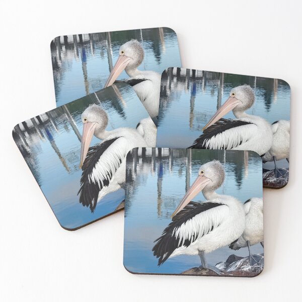 Item preview, Pelicans Forster 834 designed and sold by kevin Chippindall.
