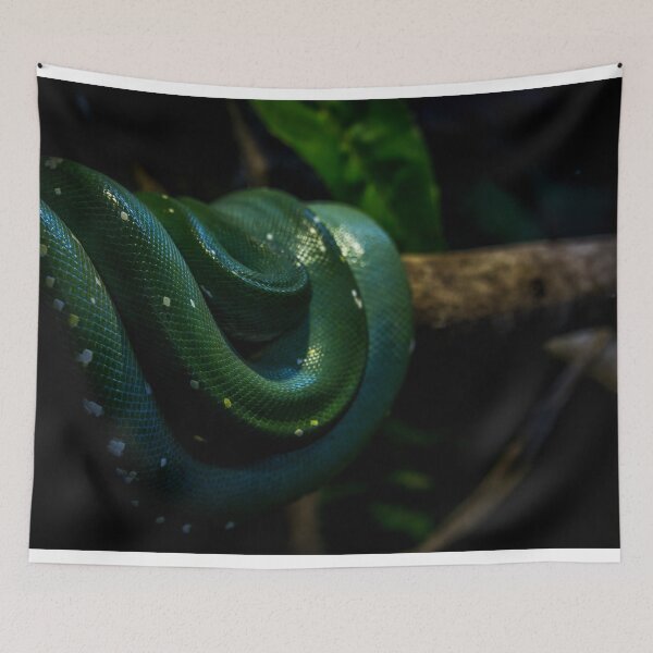 Item preview, TREE SNAKE designed and sold by Candice O'Neill.