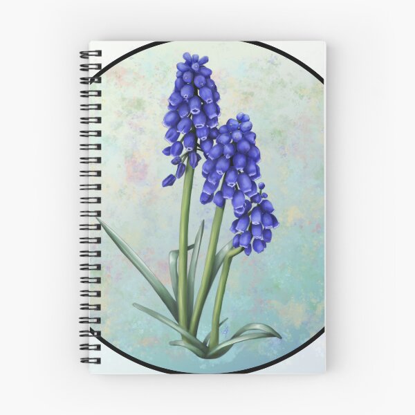 Item preview, Grape Hyacinth - with Border designed and sold by Spennig Aisling Art.