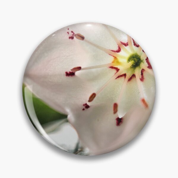 Item preview, Mountain Laurel Blossom designed and sold by Jason Tompkins.
