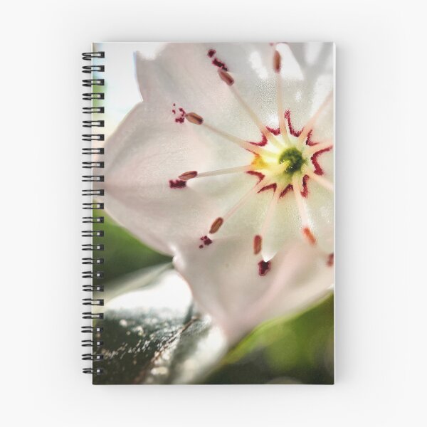 Item preview, Mountain Laurel Blossom designed and sold by Jason Tompkins.