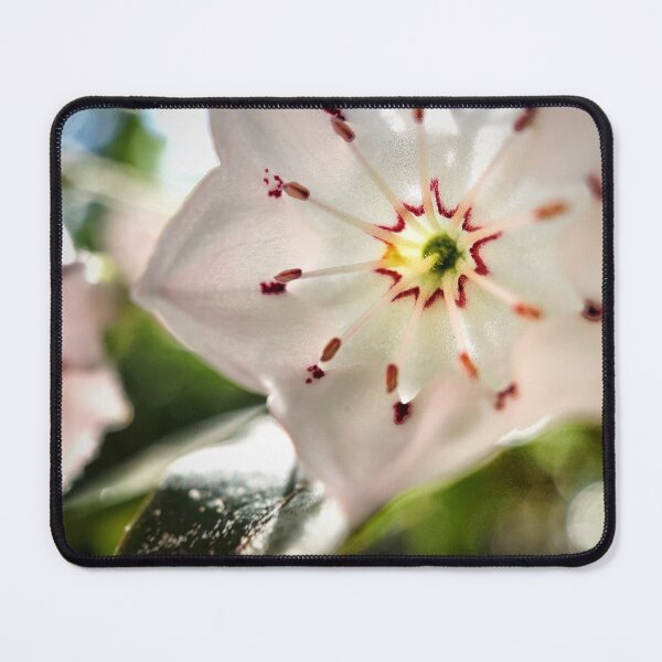 Item preview, Mountain Laurel Blossom designed and sold by Jason Tompkins.