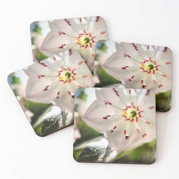 Item preview, Mountain Laurel Blossom designed and sold by Jason Tompkins.