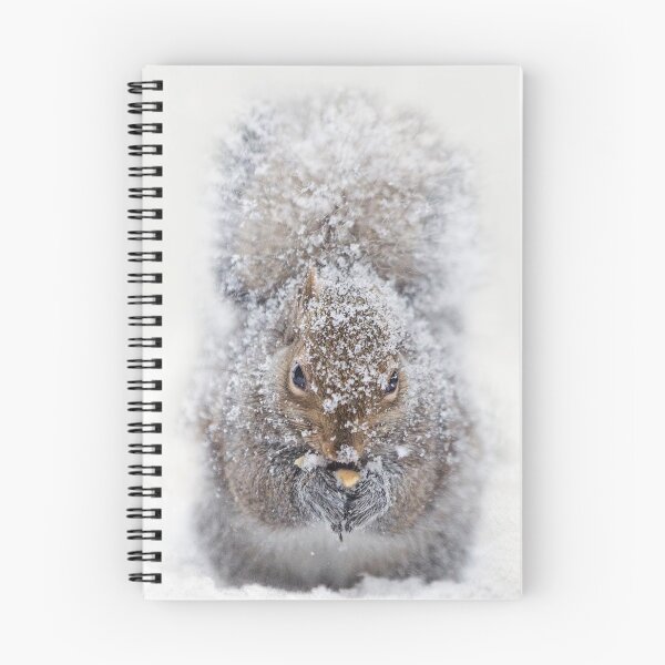 Item preview, Gray Squirrel eating peanut in snow storm designed and sold by Shauna Kenworthy.