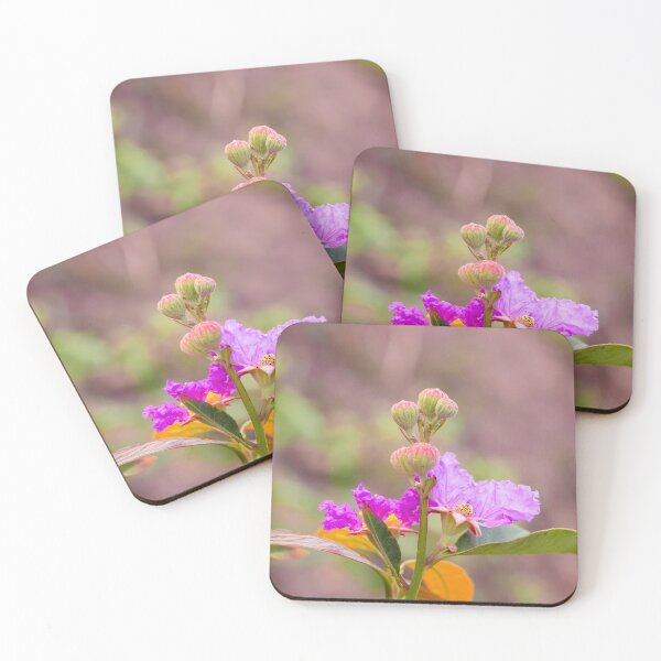 Item preview, beautiful pink and purple flowers of Lagerstroemia speciosa (giant crepe-myrtle, Queen's crepe-myrtle, banabá plant, or pride of India)Queen's Flower designed and sold by MiMee4451.