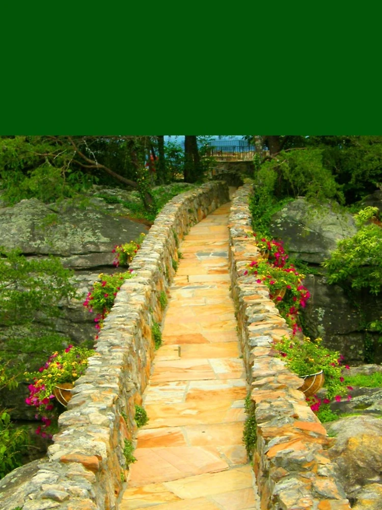 Thumbnail 4 of 4, iPhone Case, Pathway designed and sold by Rupprat.