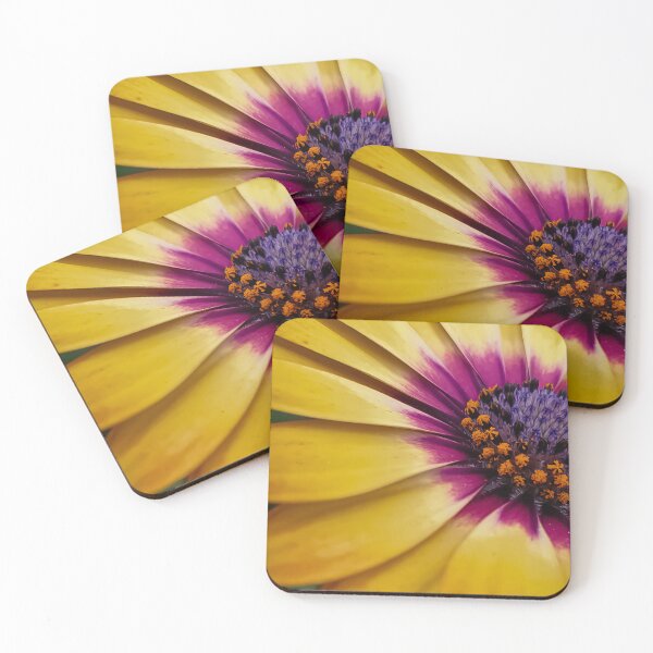 Item preview, Osteospermum 'Lemonade' designed and sold by LorianMack.