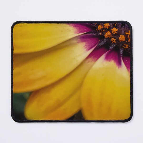 Item preview, Osteospermum 'Lemonade' designed and sold by LorianMack.
