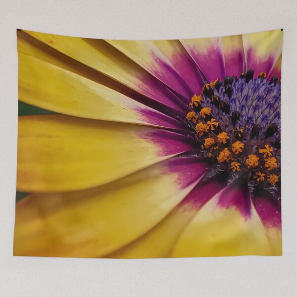 Item preview, Osteospermum 'Lemonade' designed and sold by LorianMack.