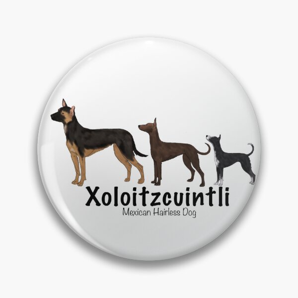 Item preview, Coated Xoloitzcuintli  designed and sold by harmopiavu.
