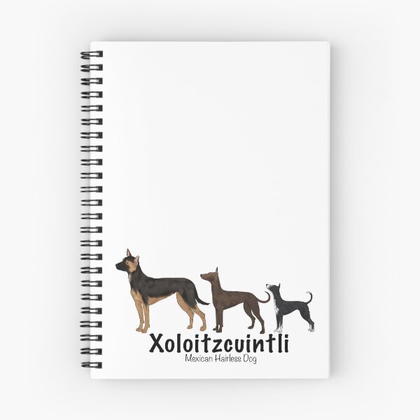 Item preview, Coated Xoloitzcuintli  designed and sold by harmopiavu.