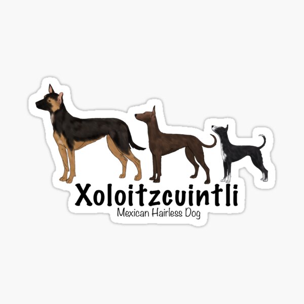 Vista previa del artículo con la obra «Xoloitzcuintli Recubierto», diseñado y vendido por harmopiavu.