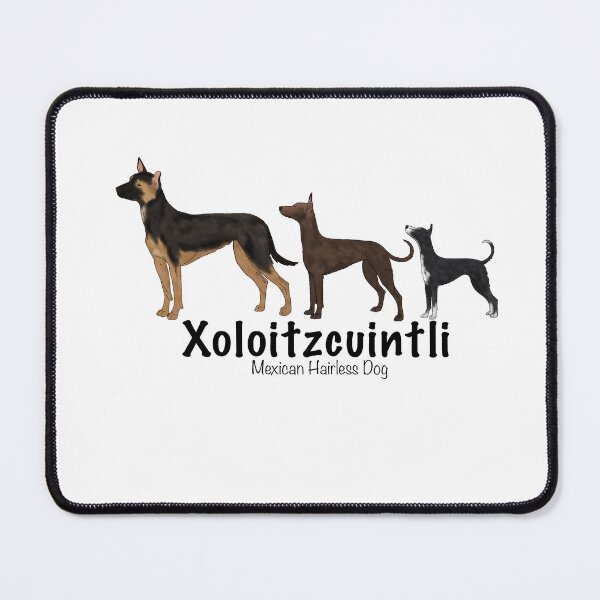 Item preview, Coated Xoloitzcuintli  designed and sold by harmopiavu.