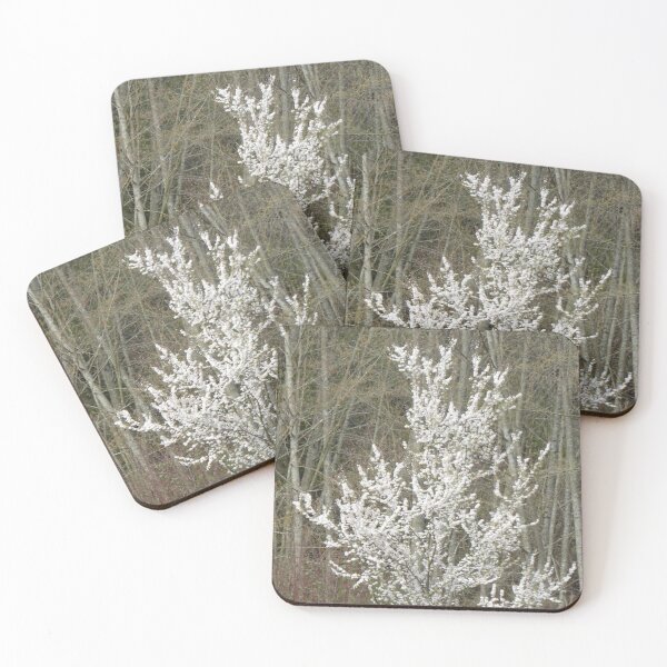 Item preview, WINTER FADING INTO BLOOM designed and sold by Elaine Bawden.