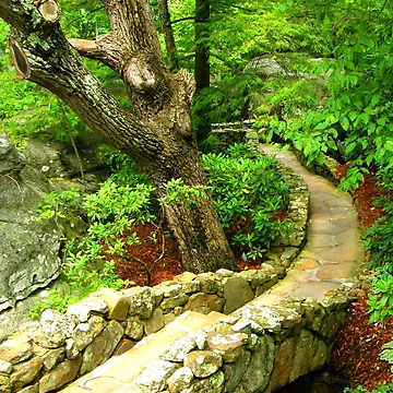 Artwork thumbnail, Pathway by Rupprat