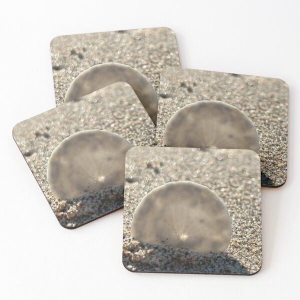 Item preview, Sand Dollar in the Sunlight designed and sold by CoastalCaptures.