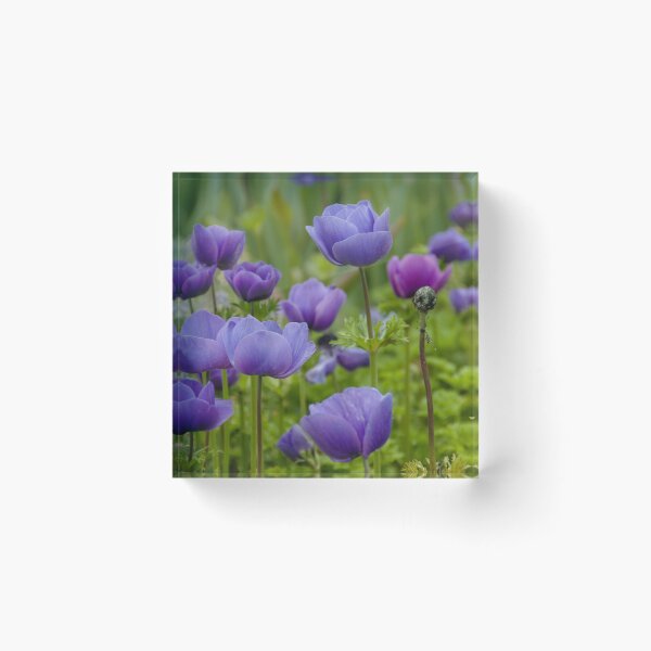 Item preview, Fields of Purple designed and sold by okomedesign.