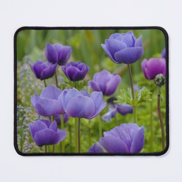 Item preview, Fields of Purple designed and sold by okomedesign.