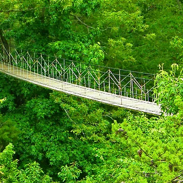 Artwork thumbnail, Tree Top Bridge by Rupprat