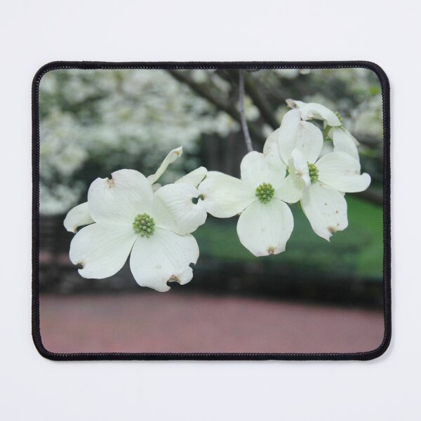 Item preview, Dogwood Trio designed and sold by okomedesign.