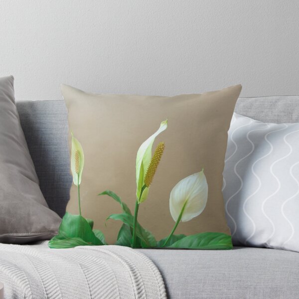 Item preview, cute flowers and beautiful green leaves of Spathiphyllum flower(peace lily designed and sold by MiMee4451.